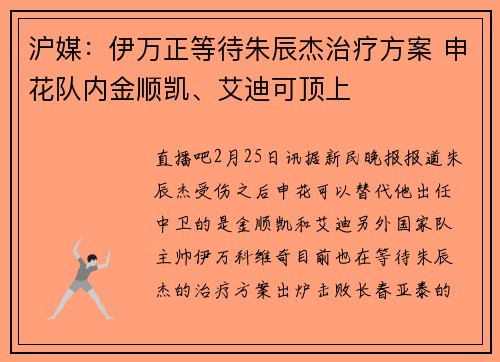 沪媒：伊万正等待朱辰杰治疗方案 申花队内金顺凯、艾迪可顶上