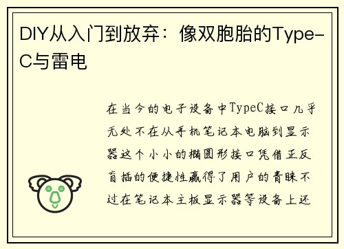 DIY从入门到放弃：像双胞胎的Type-C与雷电