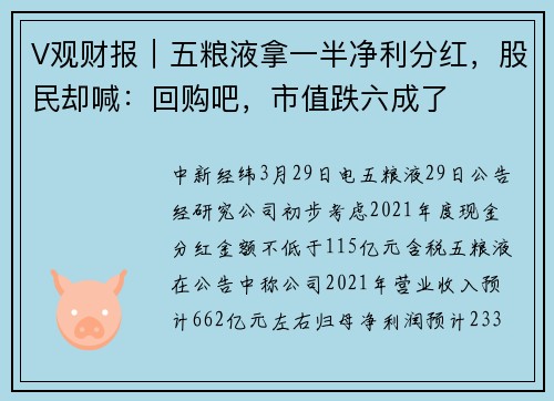 V观财报｜五粮液拿一半净利分红，股民却喊：回购吧，市值跌六成了